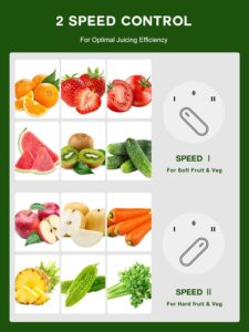 How to Use a Juicer and Make Delicious Fresh Juice