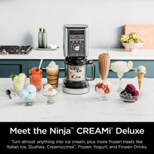 How To Make Ice Cream In a Ninja Blender