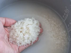 How To Use The Aroma Rice Cooker